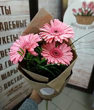 Букет цветов из:  Герберы #REPLACE_PRED# Сусанино