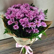 Букет цветов из:  Хризантемы #REPLACE_PRED# Сусанино