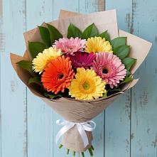 Букет цветов из:  Герберы в Сусанино