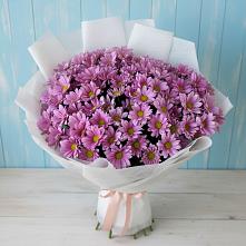 Букет цветов из:  Хризантемы в Сусанино