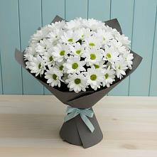 Букет цветов из:  Хризантемы в Сусанино